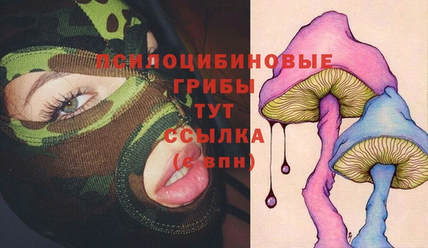 дурь Магас