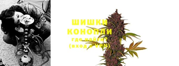дурь Магас