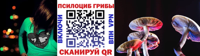 Галлюциногенные грибы ЛСД  закладки  Чайковский 