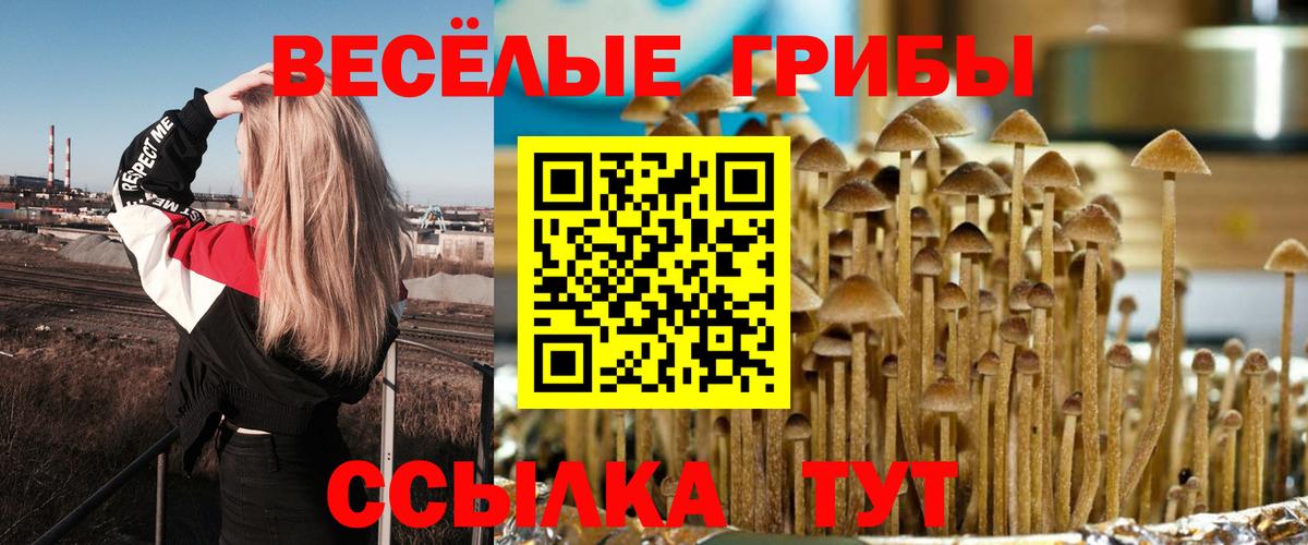 Псилоцибиновые грибы мухоморы  Псилоцибиновые грибы MAGIC MUSHROOMS  купить наркотик  Чайковский  Вход с VPN 